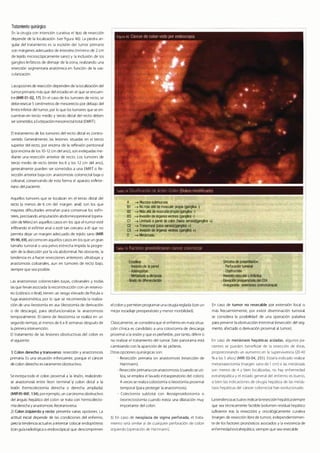Digestivo Cto 7