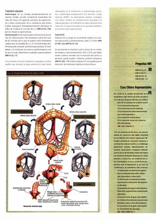 Digestivo Cto 7