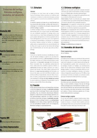 Digestivo Cto 7