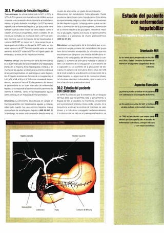 Digestivo Cto 7
