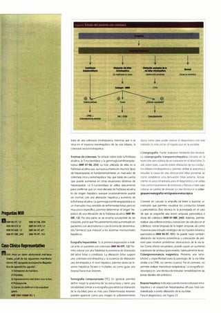 Digestivo Cto 7