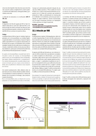 Digestivo Cto 7