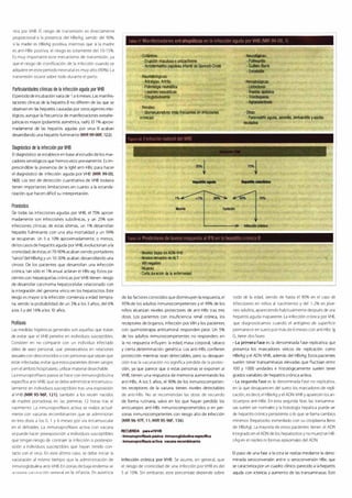 Digestivo Cto 7