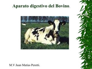 Aparato digestivo del Bovino.
M.V Juan Matías Peretti.
 