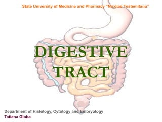 State University of Medicine and Pharmacy “Nicolae Testemitanu”




              DIGESTIVE
                TRACT

Department of Histology, Cytology and Embryology
Tatiana Globa
 
