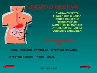 FUNÇÃO DIGESTIVA É ATRAVÉS DESTA FUNÇÃO QUE O NOSSO CORPO CONSEGUE “DISSOLVER” OS ALIMENTOS DE MANEIRA A PODEREM ENTRAR NA CORRENTE SANGUÍNEA. OS ÓRGÃOS PRINCIPAIS SÃO: BOCA ESÓFAGO ESTÔMAGO INTESTINO DELGADO INTESTINO   GROSSO RECTO ÂNUS 