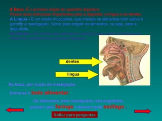 dentes língua Na boca, por acção da mastigação,  forma-se o   bolo alimentar . Os alimentos, bem mastigados, são   engolidos, passam pela  faringe  e descem pelo   esófago  . A Boca  -É o primeiro órgão do aparelho digestivo. Possui duas estruturas importantes para a digestão: a língua e os dentes. A Língua -  É um órgão musculoso, que mistura os alimentos com saliva e permitir a mastigação. Serve para engolir os alimentos, ou seja, para a deglutição. Os Dentes -  Os dentes são estruturas calcárias que cortam e trituram os alimentos, facilitando o processo digestivo. Voltar para perguntas 