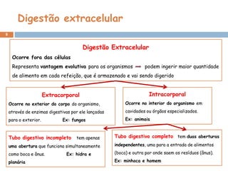 Digestão extracelular
9


                                       Digestão Extracelular
     Ocorre fora das células
     Representa vantagem evolutiva para os organismos              podem ingerir maior quantidade
     de alimento em cada refeição, que é armazenado e vai sendo digerido


                       Extracorporal                                 Intracorporal
    Ocorre no exterior do corpo do organismo,             Ocorre no interior do organismo em
    através de enzimas digestivas por ele lançadas        cavidades ou órgãos especializados.
    para o exterior.          Ex: fungos                  Ex: animais



    Tubo digestivo incompleto       tem apenas       Tubo digestivo completo tem duas aberturas
    uma abertura que funciona simultaneamente        independentes, uma para a entrada de alimentos

    como boca e ânus.          Ex: hidra e           (boca) e outra por onde saem os resíduos (ânus).

    planária                                         Ex: minhoca e homem
 