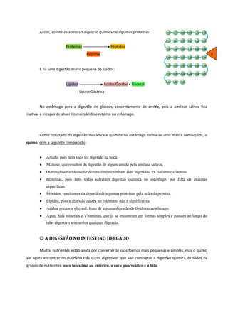 Assim, assiste-se apenas à digestão química de algumas proteínas:

Proteínas

Péptidos
Pepsina

E

E há uma digestão muito pequena de lípidos:

Lípidos

Ácidos Gordos + Glicerol
Lipase Gástrica

No estômago para a digestão de glícidos, concretamente de amido, pois a amilase salivar fica
inativa, é incapaz de atuar no meio ácido existente no estômago.

Como resultado da digestão mecânica e química no estômago forma-se uma massa semilíquida, o
quimo, com a seguinte composição:

•

Amido, pois nem todo foi digerido na boca.

•

Maltose, que resultou da digestão de algum amido pela amilase salivar.

•

Outros dissacarídeos que eventualmente tenham sido ingeridos, ex: sacarose e lactose.

•

Proteínas, pois nem todas sofreram digestão química no estômago, por falta de enzimas
específicas.

•

Péptidos, resultantes da digestão de algumas proteínas pela ação da pepsina.

•

Lípidos, pois a digestão destes no estômago não é significativa.

•

Ácidos gordos e glicerol, fruto de alguma digestão de lípidos no estômago.

•

Água, Sais minerais e Vitaminas, que já se encontram em formas simples e passam ao longo do
tubo digestivo sem sofrer qualquer digestão.

☺ A DIGESTÃO NO INTESTINO DELGADO
Muitos nutrientes estão ainda por converter às suas formas mais pequenas e simples, mas o quimo
vai agora encontrar no duodeno três sucos digestivos que vão completar a digestão química de todos os
grupos de nutrientes: suco intestinal ou entérico, o suco pancreático e a bílis.

 