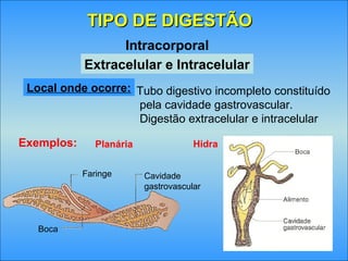 TIPO DE DIGESTÃOTIPO DE DIGESTÃO
Extracelular e Intracelular
Intracorporal
Local onde ocorre: Tubo digestivo incompleto constituído
pela cavidade gastrovascular.
Digestão extracelular e intracelular
Faringe
Boca
Cavidade
gastrovascular
Exemplos: Planária Hidra
 