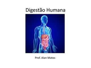 Digestão Humana
Prof. Alan Matos
 