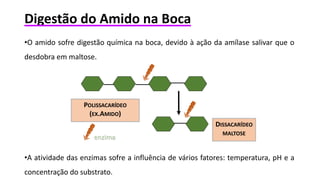 Apresentação Digestão do amido na boca.pptx