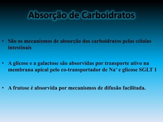 • São os mecanismos de absorção dos carboidratos pelas células
  intestinais

• A glicose e a galactose são absorvidas por transporte ativo na
  membrana apical pelo co-transportador de Na+ e glicose SGLT 1


• A frutose é absorvida por mecanismos de difusão facilitada.
 