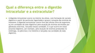 Qual a diferença entre a digestão
intracelular e a extracelular?
 A digestão intracelular ocorre no interior da célula, com formação de vacúolo
digestivo a partir de partículas fagocitadas e graças à atuação das enzimas do
lisossomo. A digestão extracelular ocorre fora das células (fora do organismo
ou em cavidades do tubo digestivo) pela atuação de enzimas secretadas por
glândulas exócrinas, lançadas nessas cavidades. É o que ocorre em nosso
processo digestivo, por exemplo, pela atuação de enzimas produzidas no
estômago, no pâncreas e no intestino e lançadas nas cavidades do tubo
digestivo.
 