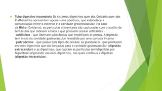  Tubo digestivo incompleto Os sistemas digestivos quer dos Cnidaria quer dos
Plathelminte apresentam apenas uma abertura, que estabelece a
comunicação entre o exterior e a cavidade grastrovascular. No caso
da Hidra (Cnidaria), as partículas alimentares são capturadas com o auxílio de
tentáculos que rodeiam a boca e que possuem células urticantes –
cnidócitos – que libertam substâncias que imobilizam as presas. A digestão
tem início na cavidade gastrovascular revestida por uma camada interna –
gastroderme – que possui dois tipos de células: as glandulares, que produzem
enzimas digestivas que são lançadas para a cavidade gastrovascular (digestão
extracelular) e as digestivas, que captam as partículas semidigeridas por
fagocitose originando vacúolos digestivos, nos quais continua a digestão
(digestão intracelular).
 