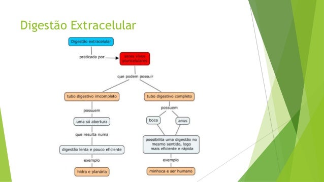 Digestão intracelular e extracelular