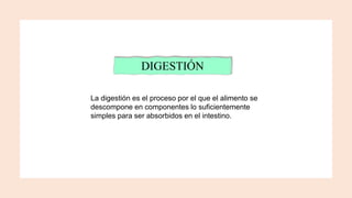 Digestón a nivel bucal y gástrico.pptx