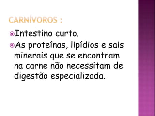 Intestino curto.
As proteínas, lipídios e sais
minerais que se encontram
na carne não necessitam de
digestão especializada.
 