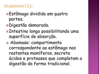 Estômago dividido em quatro
partes.
Digestão demorada.
Intestino longo possibilitando uma
superfície de absorção.
 Abomaso: compartimento
correspondente ao estômago nos
restantes mamíferos, secreta
ácidos e proteases que completam a
digestão da forma tradicional.
 