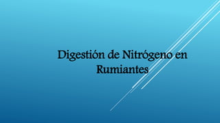Digestión de Nitrógeno en
Rumiantes
 