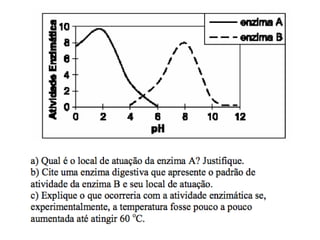 EXERCÍCIOS SISTEMA DIGESTÓRIO