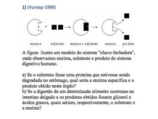 EXERCÍCIOS SISTEMA DIGESTÓRIO