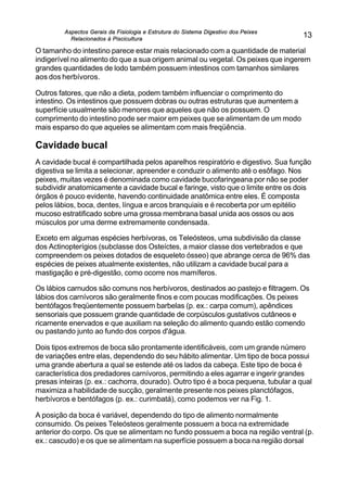 Aspectos Gerais da Fisiologia e Estrutura do Sistema Digestivo dos Peixes
Relacionados à Piscicultura
13
O tamanho do intestino parece estar mais relacionado com a quantidade de material
indigerível no alimento do que a sua origem animal ou vegetal. Os peixes que ingerem
grandes quantidades de lodo também possuem intestinos com tamanhos similares
aos dos herbívoros.
Outros fatores, que não a dieta, podem também influenciar o comprimento do
intestino. Os intestinos que possuem dobras ou outras estruturas que aumentem a
superfície usualmente são menores que aqueles que não os possuem. O
comprimento do intestino pode ser maior em peixes que se alimentam de um modo
mais esparso do que aqueles se alimentam com mais freqüência.
Cavidade bucal
A cavidade bucal é compartilhada pelos aparelhos respiratório e digestivo. Sua função
digestiva se limita a selecionar, apreender e conduzir o alimento até o esôfago. Nos
peixes, muitas vezes é denominada como cavidade bucofaringeana por não se poder
subdividir anatomicamente a cavidade bucal e faringe, visto que o limite entre os dois
órgãos é pouco evidente, havendo continuidade anatômica entre eles. É composta
pelos lábios, boca, dentes, língua e arcos branquiais e é recoberta por um epitélio
mucoso estratificado sobre uma grossa membrana basal unida aos ossos ou aos
músculos por uma derme extremamente condensada.
Exceto em algumas espécies herbívoras, os Teleósteos, uma subdivisão da classe
dos Actinopterígios (subclasse dos Osteíctes, a maior classe dos vertebrados e que
compreendem os peixes dotados de esqueleto ósseo) que abrange cerca de 96% das
espécies de peixes atualmente existentes, não utilizam a cavidade bucal para a
mastigação e pré-digestão, como ocorre nos mamíferos.
Os lábios carnudos são comuns nos herbívoros, destinados ao pastejo e filtragem. Os
lábios dos carnívoros são geralmente finos e com poucas modificações. Os peixes
bentófagos freqüentemente possuem barbelas (p. ex.: carpa comum), apêndices
sensoriais que possuem grande quantidade de corpúsculos gustativos cutâneos e
ricamente enervados e que auxiliam na seleção do alimento quando estão comendo
ou pastando junto ao fundo dos corpos d'água.
Dois tipos extremos de boca são prontamente identificáveis, com um grande número
de variações entre elas, dependendo do seu hábito alimentar. Um tipo de boca possui
uma grande abertura a qual se estende até os lados da cabeça. Este tipo de boca é
característica dos predadores carnívoros, permitindo a eles agarrar e ingerir grandes
presas inteiras (p. ex.: cachorra, dourado). Outro tipo é a boca pequena, tubular a qual
maximiza a habilidade de sucção, geralmente presente nos peixes planctófagos,
herbívoros e bentófagos (p. ex.: curimbatá), como podemos ver na Fig. 1.
A posição da boca é variável, dependendo do tipo de alimento normalmente
consumido. Os peixes Teleósteos geralmente possuem a boca na extremidade
anterior do corpo. Os que se alimentam no fundo possuem a boca na região ventral (p.
ex.: cascudo) e os que se alimentam na superfície possuem a boca na região dorsal
 