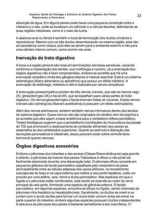Aspectos Gerais da Fisiologia e Estrutura do Sistema Digestivo dos Peixes
Relacionados à Piscicultura
23
absorção de água. Em alguns peixes pode haver uma pequena constrição entre o
intestino e o reto, onde se localizam um esfíncter e a válvula ileoretal, delimitando as
duas regiões intestinais, como é o caso da tuvira.
A abertura anal ou fenda é também o local de terminação dos ductos urinários e
reprodutivos. Mesmo com os três ductos desembocando na mesma região, esta não
se caracteriza como cloaca, pois eles se abrem para o ambiente externo e não para
uma câmara interna comum, como ocorre nas aves.
Inervação do trato digestivo
A boca e a região perioral são ricas em terminações nervosas sensitivas, variando
conforme a implantação dos dentes, sua morfologia e número. Já a enervação dos
órgãos digestivos não é bem compreendida, embora se acredite que há uma
enervação simpática vinda dos gânglios laterais à medula espinhal. Este é um sistema
adrenérgico (libera adrenalina ou epinefrina) que possui um efeito inibitório. A
enervação do estômago, intestino e reto é realizada por nervos simpáticos.
A enervação parassimpática provém de três nervos craniais, que são os nervos vago
(X), glossofaríngeo (IX) e facial (III). que se espalham para várias partes do trato
digestivo. Os nervos glossofaríngeo e facial enervam todas as vísceras. Esses nervos
craniais são colinérgicos (liberam acetilcolina) e possuem um efeito estimulatório.
Além dos nervos extrínsecos, existem também nervos intrínsecos dentro dos tecidos
do sistema digestivo. Esses nervos não são originados do cérebro nem da espinha e
se acredita que eles sejam a base anatômica para o verdadeiro reflexo peristáltico.
Testes fisiológicos sugerem que o peristaltismo (contrações da musculatura da parede
do TGI que promovem o deslocamento do conteúdo alimentar) dos peixes se
assemelha ao dos vertebrados superiores. Quanto ao estímulo e liberação das
secreções pancreáticas e intestinais, essas parecem estar sobre controle tanto
hormonal quanto nervoso.
Órgãos digestivos acessórios
Embora o pâncreas dos tubarões e das arraias (Classe Elasmobrânquia) seja grande
e distinto, o pâncreas da maioria dos peixes Teleósteos é difuso e não pode ser
facilmente observado durante uma dissecação total. O pâncreas difuso consiste em
pequenos glóbulos de tecido pancreático espalhado pelo mesentério do peixe
(principalmente entre as células adiposas dos cecos pilóricos, no revestimento
subcapsular do baço e na capa externa que rodeia a veia porta hepática), cada um
provido por uma artéria, veia, nervo e ducto pancreático. Nas espécies em que o
fígado e o pâncreas estão combinados, este tecido se estende ao redor do ramo
principal da veia porta, formando uma espécie de glândula externa. O tecido
pancreático, em algumas espécies, encontra-se difuso no fígado, sendo chamado de
pâncreas intra-hepático ou hepatopâncreas. Geralmente, os ductos se unem e se
juntam com o ducto da bile para formar um ducto biliar comum antes de entrar na
parte superior do intestino, embora algumas espécies possuam ductos independentes.
A estrutura do pâncreas dos peixes é bastante semelhante à dos mamíferos. O
 