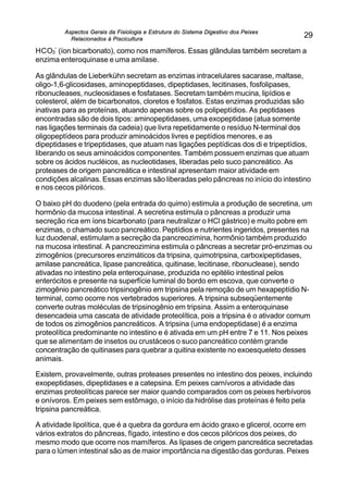 Aspectos Gerais da Fisiologia e Estrutura do Sistema Digestivo dos Peixes
Relacionados à Piscicultura
29
HCO3
-
(íon bicarbonato), como nos mamíferos. Essas glândulas também secretam a
enzima enteroquinase e uma amilase.
As glândulas de Lieberkühn secretam as enzimas intracelulares sacarase, maltase,
oligo-1,6-glicosidases, aminopeptidases, dipeptidases, lecitinases, fosfolipases,
ribonucleases, nucleosidases e fosfatases. Secretam também mucina, lipídios e
colesterol, além de bicarbonatos, cloretos e fosfatos. Estas enzimas produzidas são
inativas para as proteínas, atuando apenas sobre os polipeptídios. As peptidases
encontradas são de dois tipos: aminopeptidases, uma exopeptidase (atua somente
nas ligações terminais da cadeia) que livra repetidamente o resíduo N-terminal dos
oligopeptídeos para produzir aminoácidos livres e peptídios menores, e as
dipeptidases e tripeptidases, que atuam nas ligações peptídicas dos di e tripeptídios,
liberando os seus aminoácidos componentes. Também possuem enzimas que atuam
sobre os ácidos nucléicos, as nucleotidases, liberadas pelo suco pancreático. As
proteases de origem pancreática e intestinal apresentam maior atividade em
condições alcalinas. Essas enzimas são liberadas pelo pâncreas no início do intestino
e nos cecos pilóricos.
O baixo pH do duodeno (pela entrada do quimo) estimula a produção de secretina, um
hormônio da mucosa intestinal. A secretina estimula o pâncreas a produzir uma
secreção rica em íons bicarbonato (para neutralizar o HCl gástrico) e muito pobre em
enzimas, o chamado suco pancreático. Peptídios e nutrientes ingeridos, presentes na
luz duodenal, estimulam a secreção da pancreozimina, hormônio também produzido
na mucosa intestinal. A pancreozimina estimula o pâncreas a secretar pró-enzimas ou
zimogênios (precursores enzimáticos da tripsina, quimotripsina, carboxipeptidases,
amilase pancreática, lipase pancreática, quitinase, lecitinase, ribonuclease), sendo
ativadas no intestino pela enteroquinase, produzida no epitélio intestinal pelos
enterócitos e presente na superfície luminal do bordo em escova, que converte o
zimogênio pancreático tripsinogênio em tripsina pela remoção de um hexapeptídio N-
terminal, como ocorre nos vertebrados superiores. A tripsina subseqüentemente
converte outras moléculas de tripsinogênio em tripsina. Assim a enteroquinase
desencadeia uma cascata de atividade proteolítica, pois a tripsina é o ativador comum
de todos os zimogênios pancreáticos. A tripsina (uma endopeptidase) é a enzima
proteolítica predominante no intestino e é ativada em um pH entre 7 e 11. Nos peixes
que se alimentam de insetos ou crustáceos o suco pancreático contém grande
concentração de quitinases para quebrar a quitina existente no exoesqueleto desses
animais.
Existem, provavelmente, outras proteases presentes no intestino dos peixes, incluindo
exopeptidases, dipeptidases e a catepsina. Em peixes carnívoros a atividade das
enzimas proteolíticas parece ser maior quando comparados com os peixes herbívoros
e onívoros. Em peixes sem estômago, o início da hidrólise das proteínas é feito pela
tripsina pancreática.
A atividade lipolítica, que é a quebra da gordura em ácido graxo e glicerol, ocorre em
vários extratos do pâncreas, fígado, intestino e dos cecos pilóricos dos peixes, do
mesmo modo que ocorre nos mamíferos. As lipases de origem pancreática secretadas
para o lúmen intestinal são as de maior importância na digestão das gorduras. Peixes
 