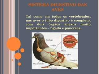 SISTEMA DIGESTIVO DAS AVES Tal como em todos os vertebrados, nas aves o tubo digestivo é completo, com dois órgãos anexos muito importantes – fígado e pâncreas.  