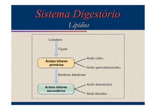 Sistema Digestório
Lipídios

 