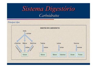 Sistema Digestório
Carboidratos
Principais tipos

 