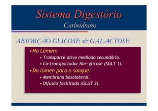 Sistema Digestório
Carboidratos
ABSORÇÃO GLICOSE & GALACTOSE
•No Lúmen:
•No Lúmen:
• Transporte ativo mediado secundário.
• Transporte ativo mediado secundário.
• Co-transportador Na+-glicose (SGLT 1).
• Co-transportador Na+-glicose (SGLT 1).

•Do lúmen para o sangue:
•Do lúmen para o sangue:
• Membrana basolateral.
• Membrana basolateral.
• Difusão facilitada (GLUT 2).
• Difusão facilitada (GLUT 2).

 