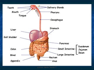 Autora: Marta García T.
 