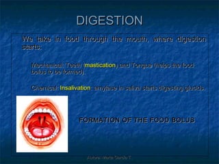 DIGESTION
We take in food through the mouth, where digestion
starts:

-   Mechanical: Teeth (mastication) and Tongue (helps the food
    bolus to be formed).

-   Chemical: Insalivation: amylase in saliva starts digesting glucids.




                      FORMATION OF THE FOOD BOLUS




                         Autora: Marta García T.
 
