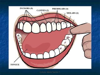 Autora: Marta García T.
 