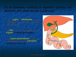 En el Duodeno continúa la digestión química del
    alimento, por parte de tres sustancias:

    Los jugos intestinales que
     segregan las propias paredes
     del duodeno.

    La bilis, que es segregada por el
     hígado y vertida al duodeno.

    Los jugos pancreáticos, que son
     segregados por el páncreas y
     vertidos al duodeno.




                             Autora: Marta García T.
 