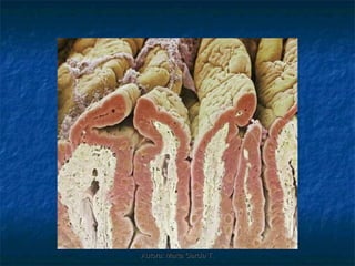 Autora: Marta García T.
 