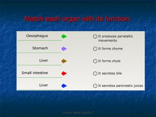 Match each organ with its function.




            Autora: Marta García T.
 
