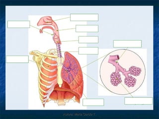 Autora: Marta García T.
 