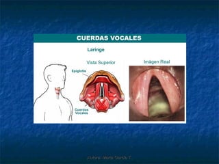 Autora: Marta García T.
 