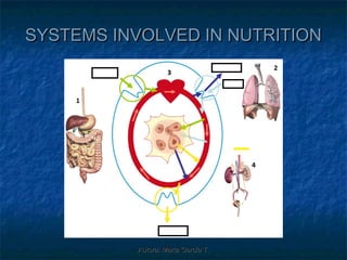 SYSTEMS INVOLVED IN NUTRITION




          Autora: Marta García T.
 