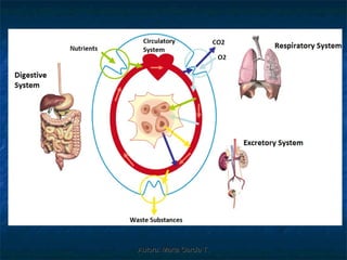 Autora: Marta García T.
 