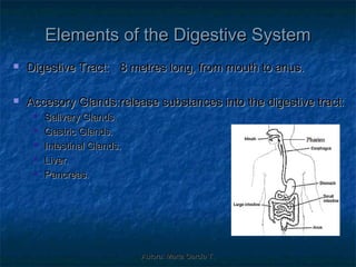 Elements of the Digestive System
   Digestive Tract: 8 metres long, from mouth to anus.

   Accesory Glands: release substances into the digestive tract:
        Salivary Glands.
        Gastric Glands.
        Intestinal Glands.
        Liver.
        Pancreas.




                              Autora: Marta García T.
 
