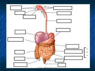 Autora: Marta García T.
 
