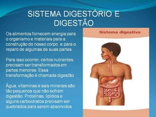 Digestório