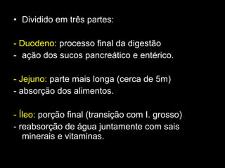 • Dividido em três partes:
- Duodeno: processo final da digestão
- ação dos sucos pancreático e entérico.
- Jejuno: parte mais longa (cerca de 5m)
- absorção dos alimentos.
- Íleo: porção final (transição com I. grosso)
- reabsorção de água juntamente com sais
minerais e vitaminas.
 