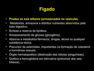 Fígado
• Produz os sais biliares (armazenados na vesícula).
• Metaboliza, armazena e distribui nutrientes absorvidos pelo
trato digestivo.
• Síntese e reserva de lipídeos.
• Armazenamento de glicose (glicogênio).
• Absorve e metaboliza fármacos, drogas, álcool ou qualquer
substância tóxica.
• Precursor de esteróides, importantes na formação de colesterol
e hormônios sexuais.
• Órgão hematopoético (destruição das células sanguíneas).
• Quebra a hemoglobina em bilirrubina (precursor dos sais
biliares).
 