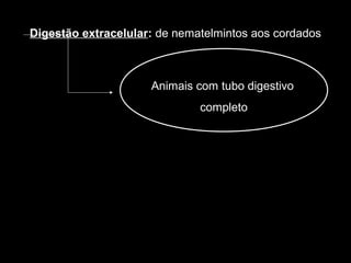Digestão extracelular: de nematelmintos aos cordados
Animais com tubo digestivo
completo
 