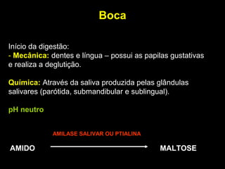 Boca
AMIDO MALTOSE
AMILASE SALIVAR OU PTIALINA
Início da digestão:
- Mecânica: dentes e língua – possui as papilas gustativas
e realiza a deglutição.
Química: Através da saliva produzida pelas glândulas
salivares (parótida, submandibular e sublingual).
pH neutro
 